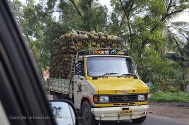 On the Route to Thekkady_DSC6983_H600